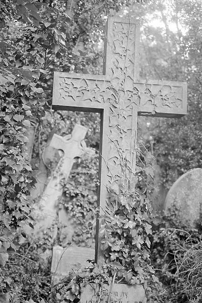 Highgate Cemetery MF001803_30