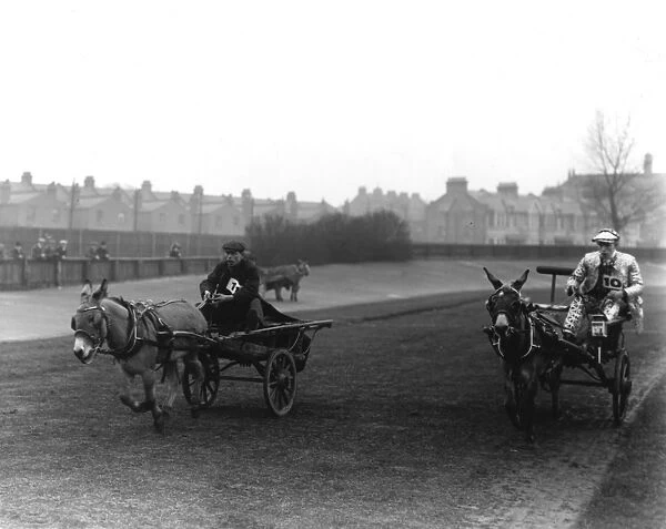 An action shot of donkey cart racing in London