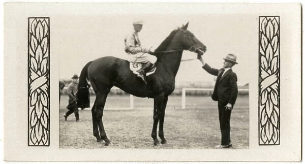 Amounis, Australian race horse