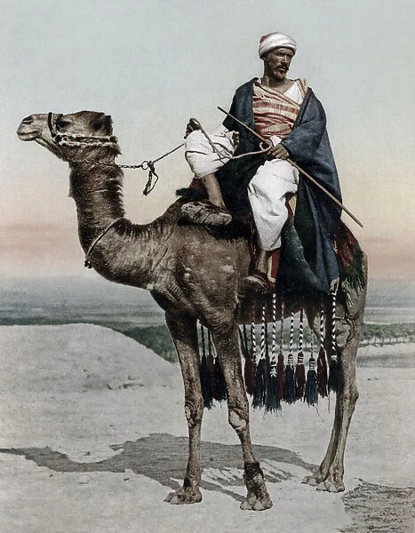 Arab man on camel, Egypt, c. 1890s Vintage late 19th century photograph