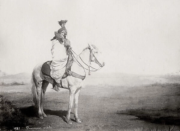 Arab man, falconer with falcon, mounted on a horse, Algeria