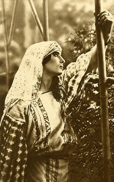 Arab woman of Algiers, Algeria, North Africa