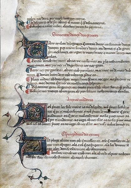 AURENGA, Raimbaut d (1147-1173). Proven硬minstrel