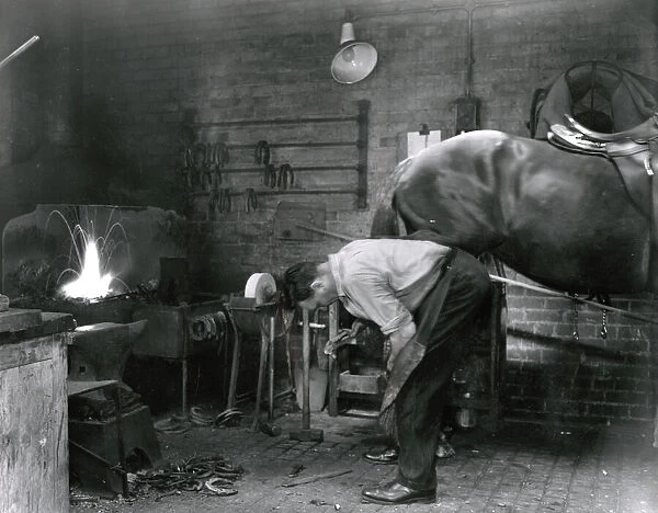 Blacksmith shoeing a Metropolitan Police horse