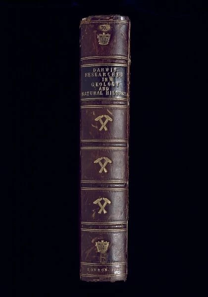 Book spine of Darwins Researches