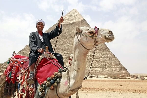 Camel and Pyramid of Khafre in Cairo, Egypt