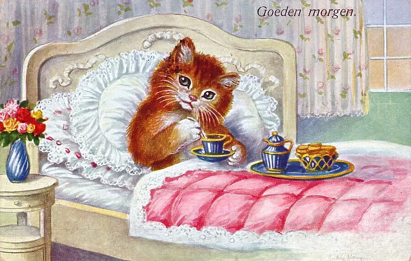 Cat in bed on a Dutch greetings postcard