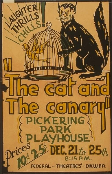 The cat and the canary