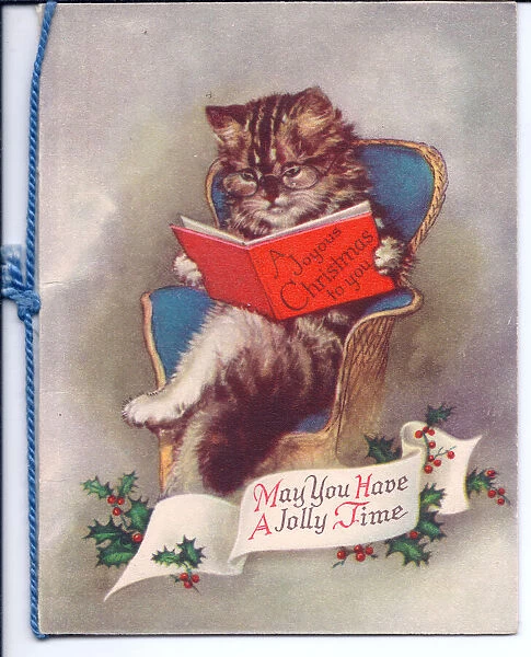 Cat reading a book on a Christmas card
