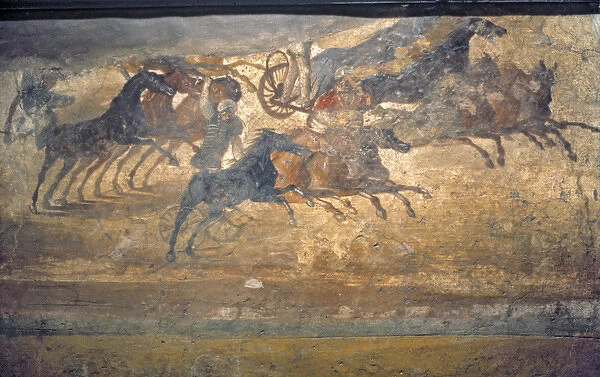 Chariot Race Mural Pompeii