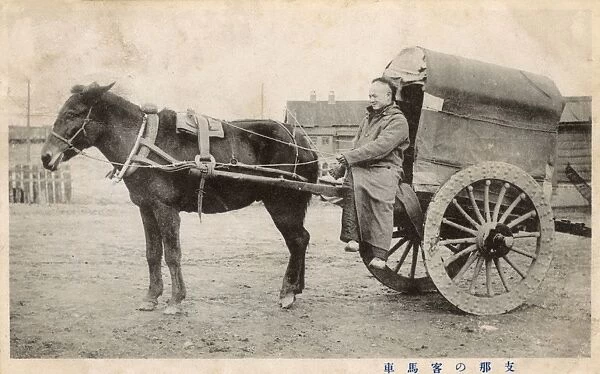 Chinese Horse-drawn carriage  /  car