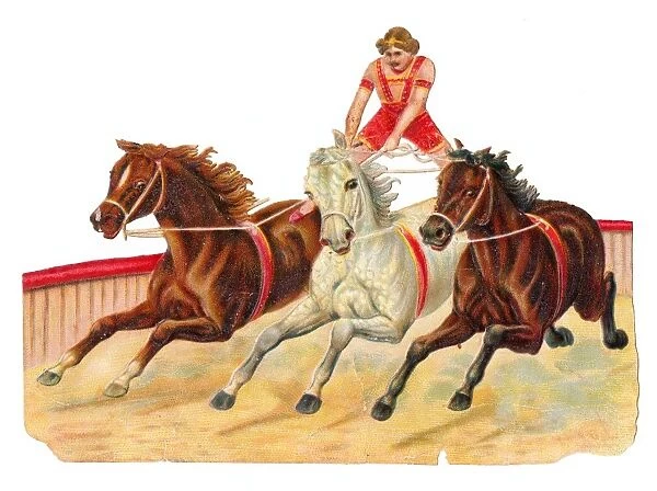 Circus performer on three horses on a Victorian scrap