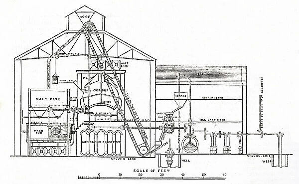 Cross-section of Barclays brewery, Southwark, London