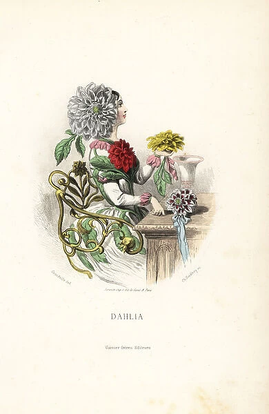 Dahlia flower fairy in dress of flowers and leaves