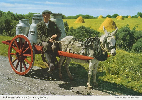 Delivering Milk to The Creamery, Republic of Ireland