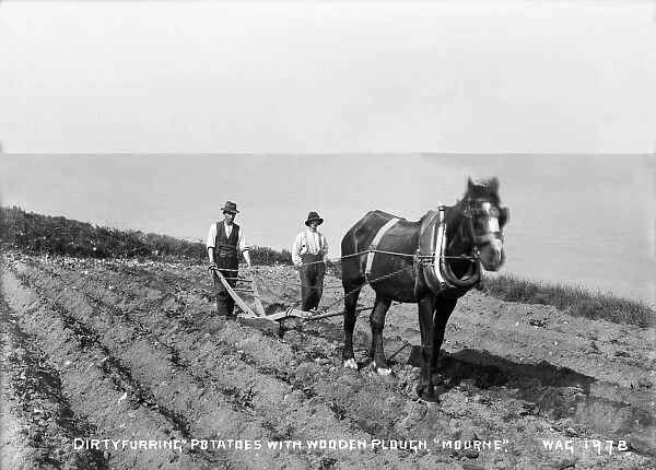 Dirty Furring Potatoes With Wooden Plough, Mourne