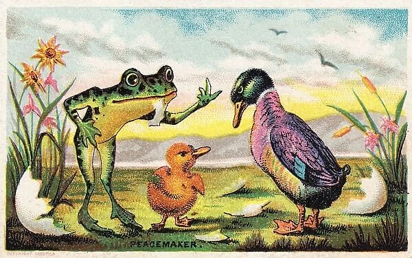 Duck, frog and duckling on a comic card