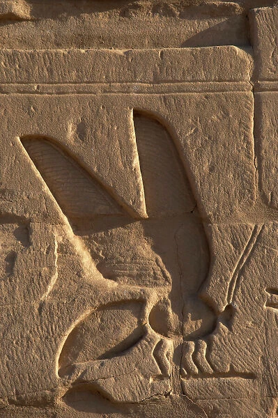 Egyptian Art. Relief depicting a bee, symbol of Lower Egypt