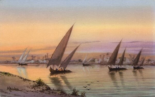 Feluccas on the River Nile, Cairo, Egypt - Evening