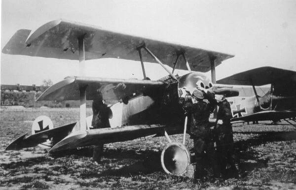 Fokker Dr I with Pfalz D III in background