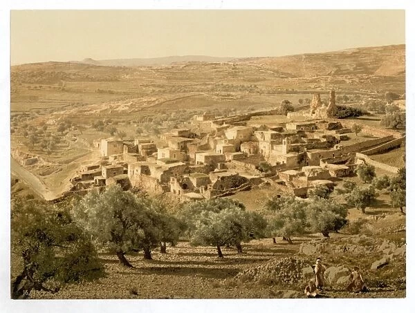 General view, Bethany, Holy Land, (i. e. West Bank)