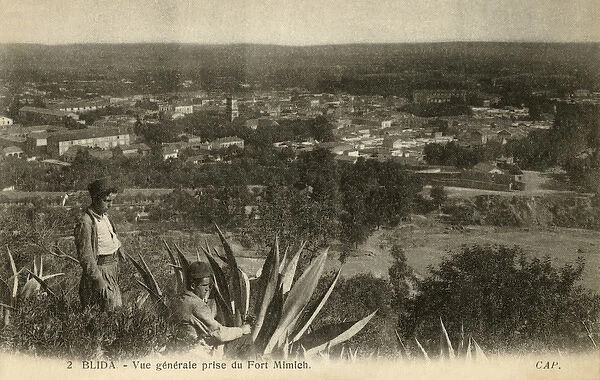 General view of Blida, from the Fort of Mimich