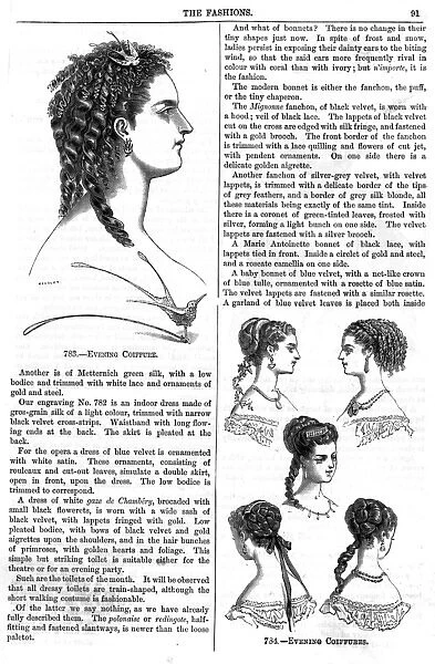 Hairstyles  /  Evening 1868