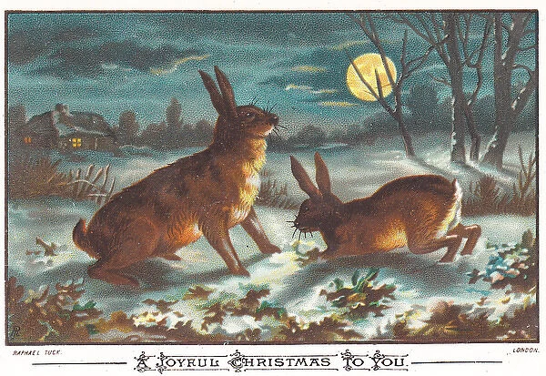 Two hares in moonlight on a Christmas card