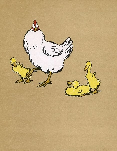 Illustration by Cecil Aldin, Ugly Duckling