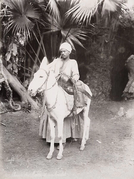 Late 19th century photograph: Egyptian man and his donkey, Egypt