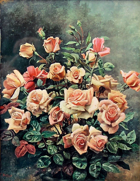 Still life of pink roses by Fortunino Matania