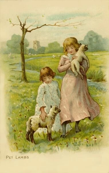 Two little girls with their pet lambs