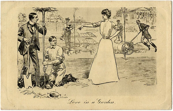 Love in a Garden - a smart lady takes charge of her men