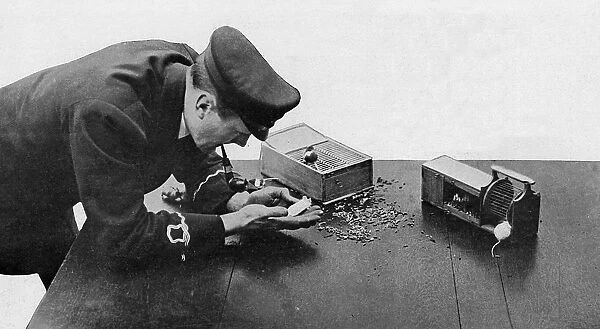 Mice as fume detectors on a submarine, WW1