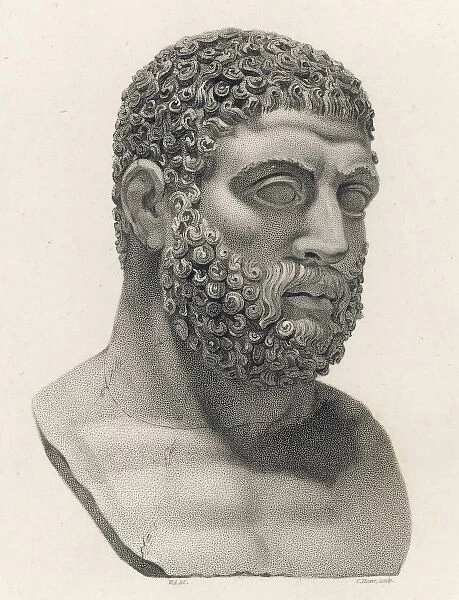 Myth  /  Hercules Bust