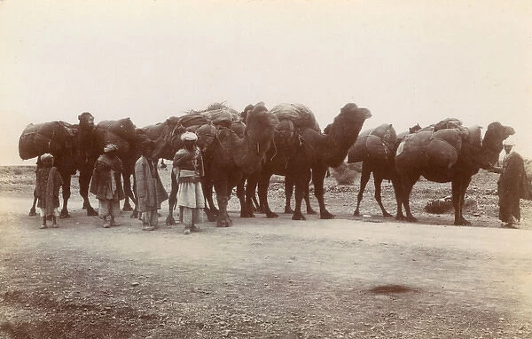 Natives and camels, Jamrud, North West Frontier Province