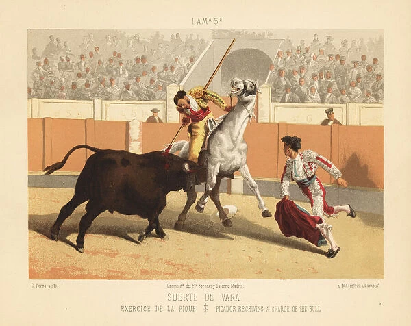 Picador on horseback stabbing a charging bull with a lance