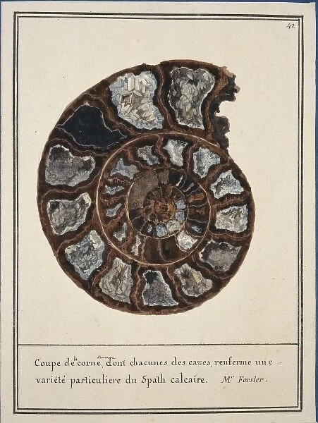 Plate 42 from Mineralogie Volume 1 (1790)