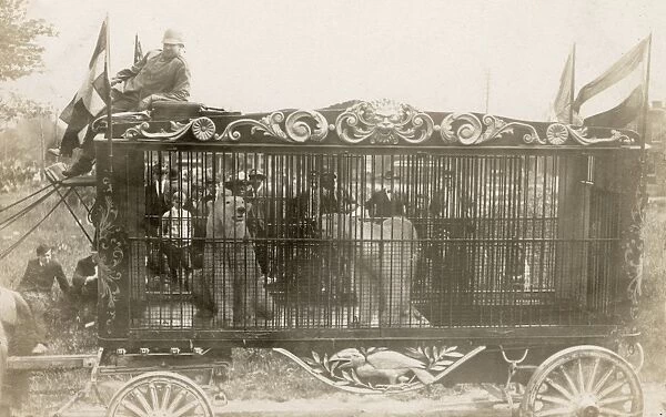 Polar bears in a cage at Washington D. C. circus