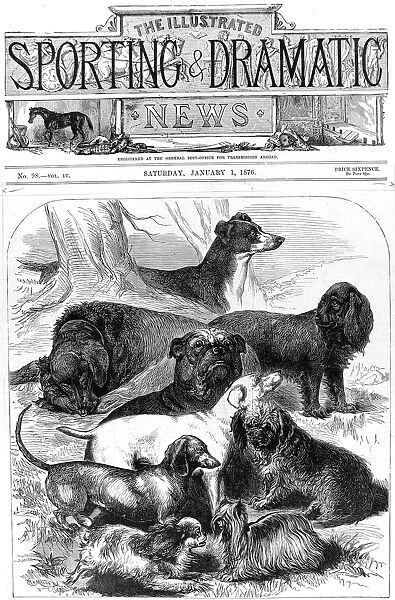 Prize Winning Dogs at the Alexandra Palace Show, 1876