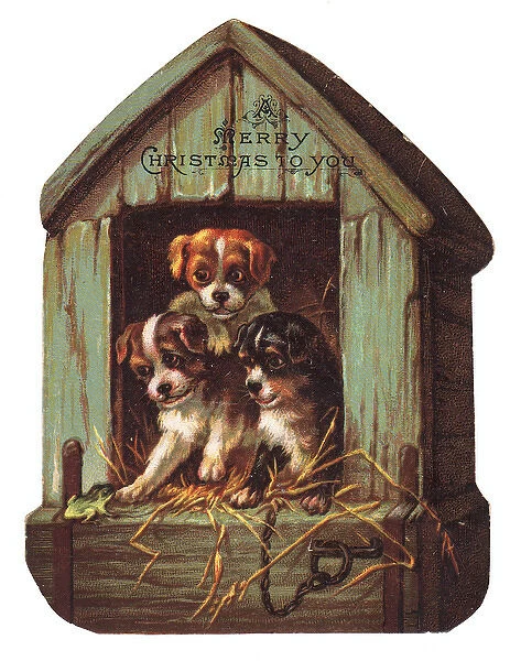 Three puppies on a kennel-shaped Christmas card