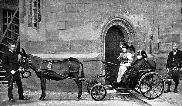Queen Victoria driving donkey-carriage