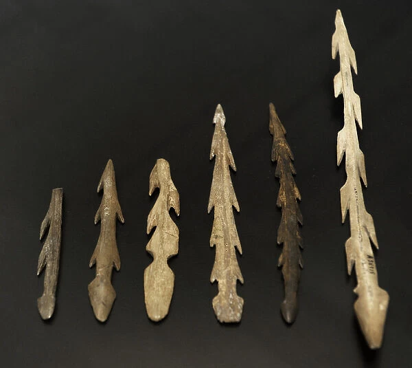 Reindeer antler harpoons. 9500 BC
