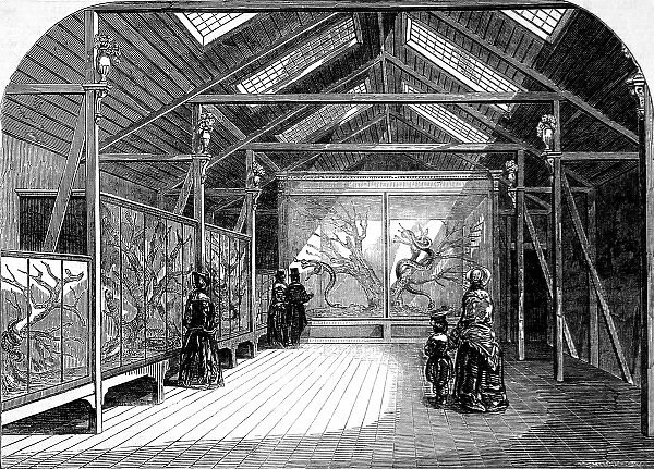 The Reptile House, London Zoo, 1849