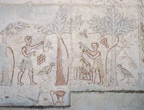 Roman Art. Syria. Farming. Collecting dates. Mosaic. Theatre