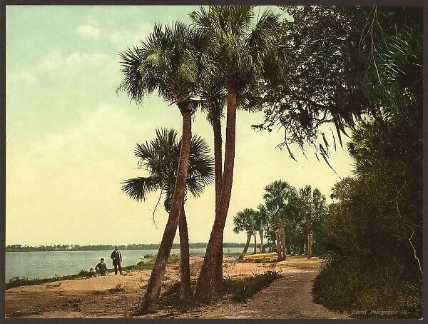 Scene; Indian River, Florida