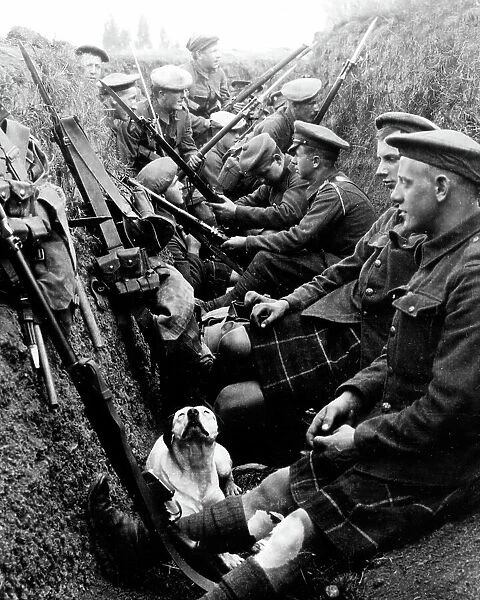 Seaforth Highlanders and a dog in a trench in WW1
