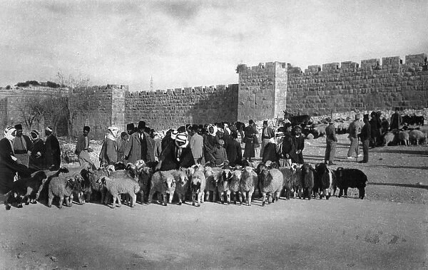 Sheep market at Herods Gate, Jerusalem