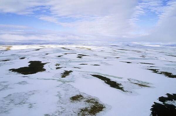 Snow melts in arctic tundra spring. Aerial view