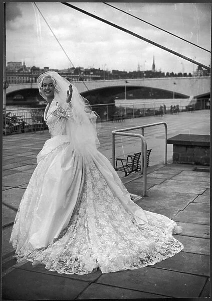 Stiebel  /  Wedding Dress
